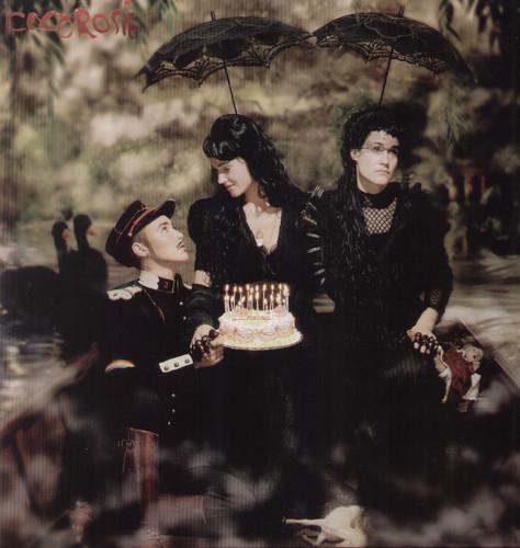 COCOROSIE - ADVENTURES OF GHOSTHORSE & STILLBORN - RECORD