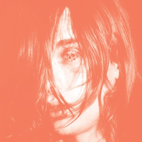 DEERHUNTER - MICROCASTLE - RECORD