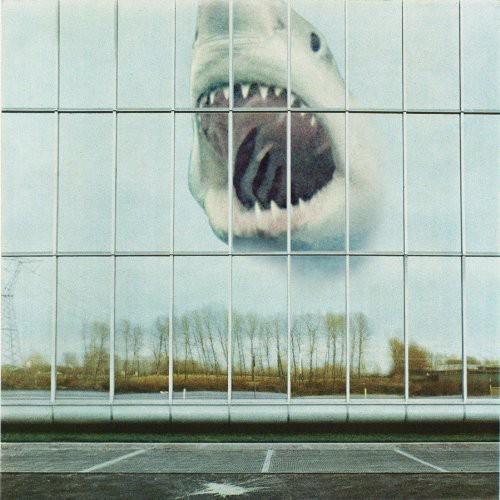 BLACK MOUNTAIN - WILDERNESS HEART - RECORD