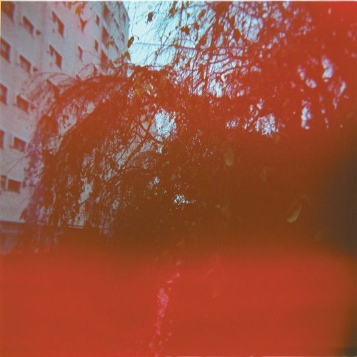 HIGUCHI,HISATO - HENZAI - RECORD