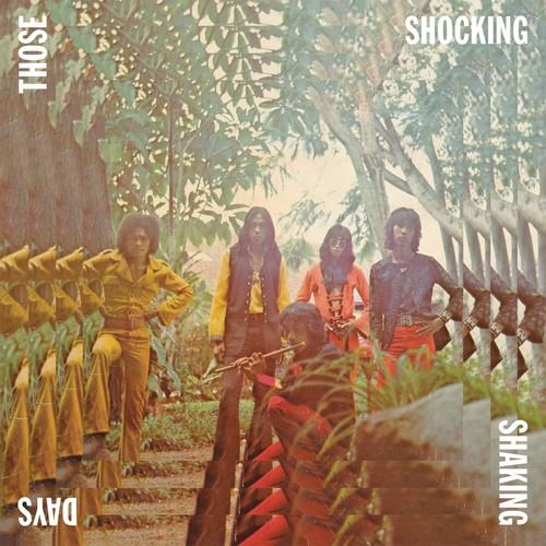 THOSE SHOCKING SHAKING DAYS / VARIOUS - RECORD