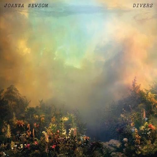 NEWSOM,JOANNA - DIVERS - RECORD
