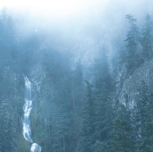 WOLVES IN THE THRONE ROOM - DIADEM OF 12 STARS - RECORD