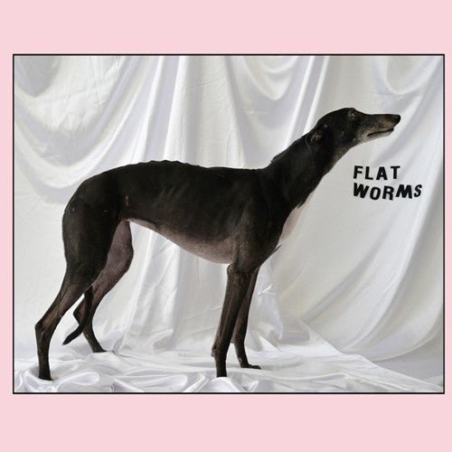FLAT WORMS - RECORD
