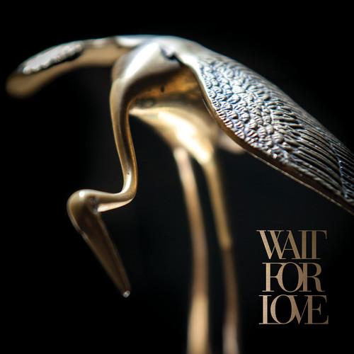 PIANOS BECOME THE TEETH - WAIT FOR LOVE - RECORD