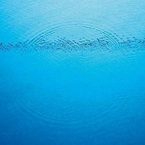CARIBOU - SUDDENLY - RECORD