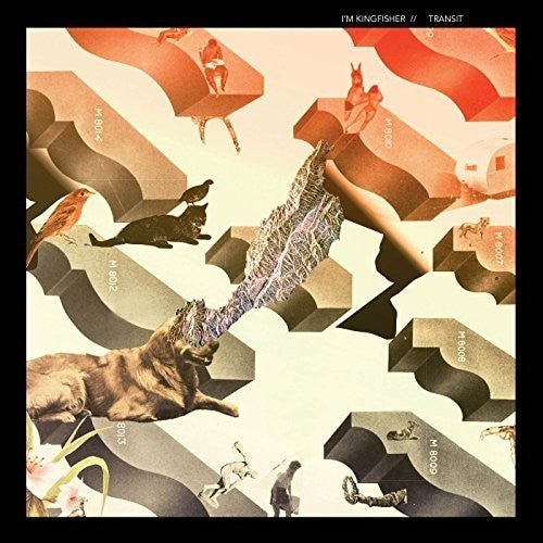 I'M KINGFISHER - TRANSIT - RECORD