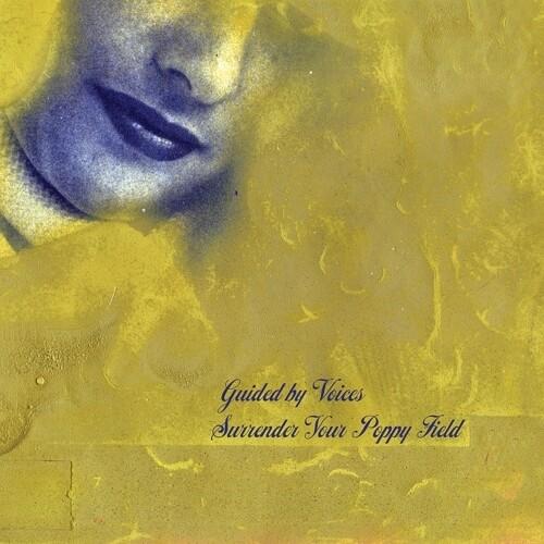 GUIDED BY VOICES - SURRENDER YOUR POPPY FIELD - RECORD