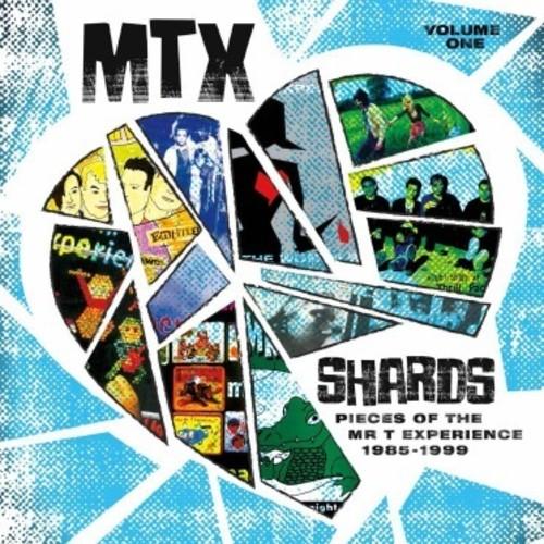 MR T EXPERIENCE - SHARDS VOL. 1 - RECORD