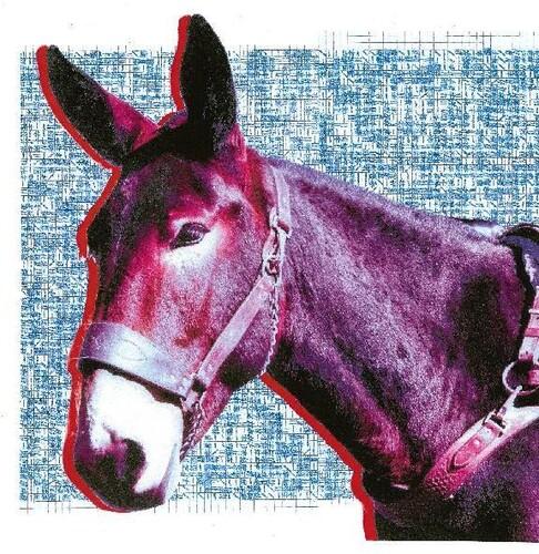PROTOMARTYR - ULTIMATE SUCCESS TODAY - RECORD