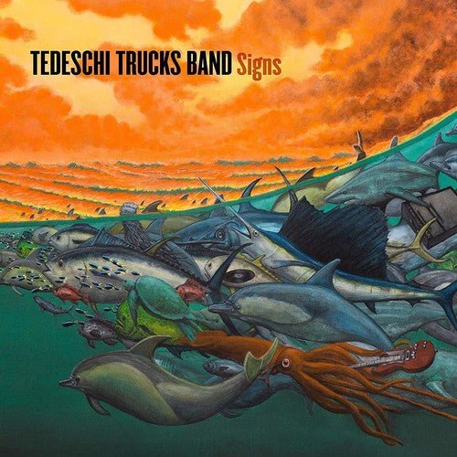 TEDESCHI TRUCKS BAND - SIGNS - RECORD