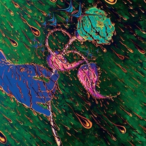 GRAVE FLOWERS BONGO BAND - STRENGTH OF SPRING - RECORD