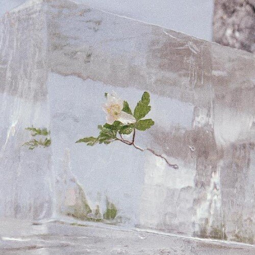 EFTERKLANG - WINDFLOWERS - RECORD