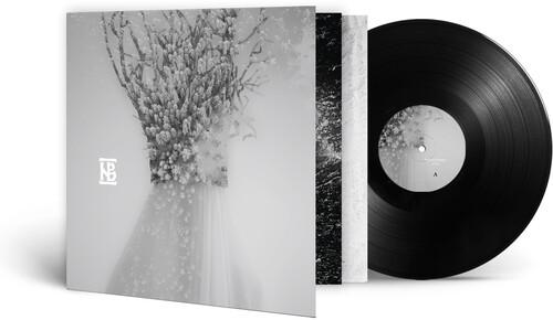 NEGURA BUNGET - ZAU - RECORD