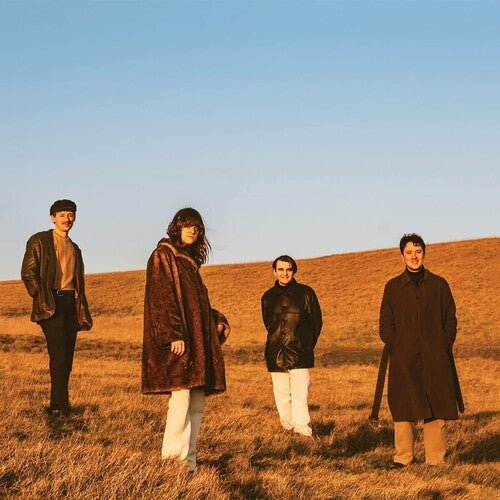 FUR - WHEN YOU WALK AWAY - RECORD