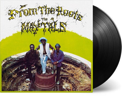 MAYTALLS - FROM THE ROOTS - RECORD