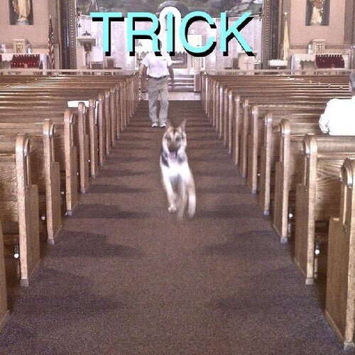 ALEX G - TRICK - RECORD