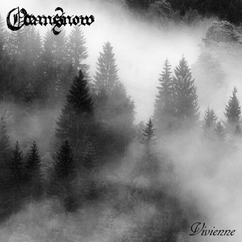 OCEANSNOW - VIVIENNE - RECORD
