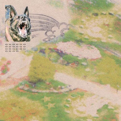 FEEBLE LITTLE HORSE - GIRL WITH FISH - RECORD