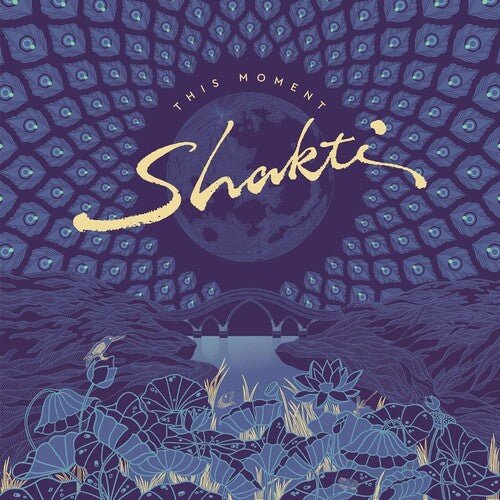 SHAKTI - THIS MOMENT - RECORD