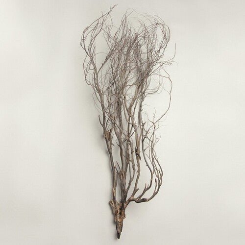 LEACH,MARY JANE - WOODWIND MULTIPLES - RECORD