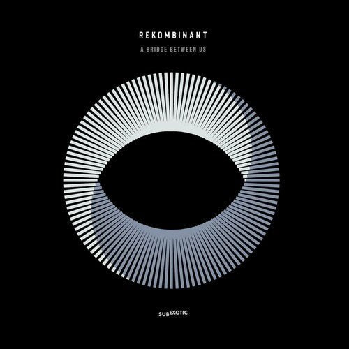 REKOMBINANT - BRIDGE BETWEEN US - RECORD