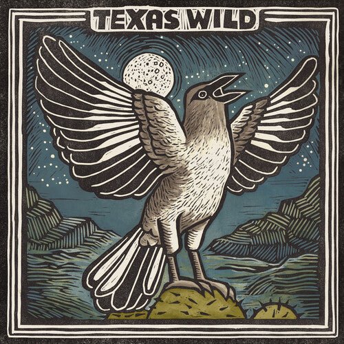 TEXAS WILD / VARIOUS - RECORD