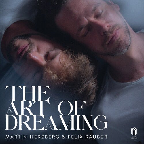 HERZBERG / RAUBER - ART OF DREAMING - RECORD