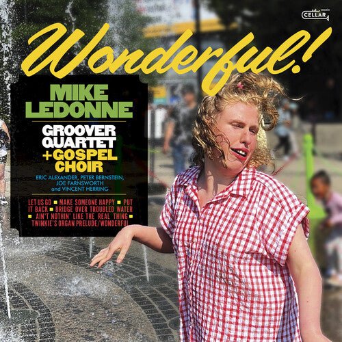 LEDONNE,MIKE & GROOVER QUARTET - WONDERFUL - RECORD
