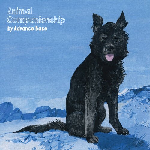 BASE,AVANCE - ANIMAL COMPANIONSHIP - RECORD