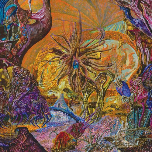 SLIMELORD - CHYTRIDIOMYCOSIS RELINQUISHED - ORANGE/ROYAL BLUE - RECORD