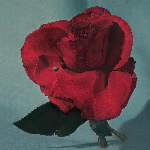 METZ - UP ON GRAVITY HILL - CLEAR W/ RED - RECORD