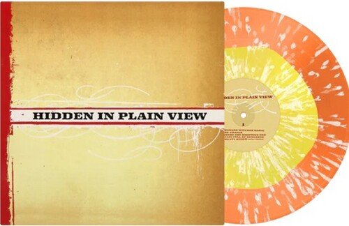 HIDDEN IN PLAIN VIEW - RECORD
