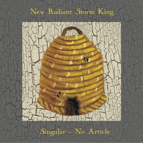 NEW RADIANT STORM KING - SINGULAR NO ARTICLE - RECORD