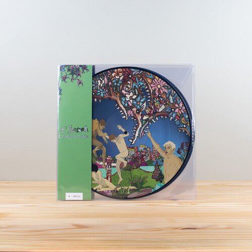 OF MONTREAL - SKELETAL LAMPING - RECORD