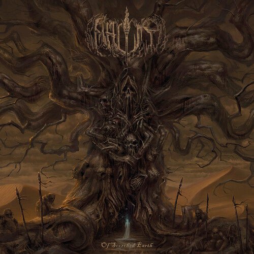 BEHOLDER - DUALISME - RECORD