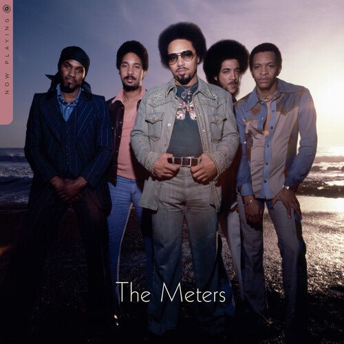 METERS - NOW PLAYING - RECORD