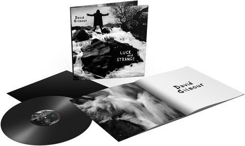 GILMOUR,DAVID - LUCK & STRANGE - RECORD