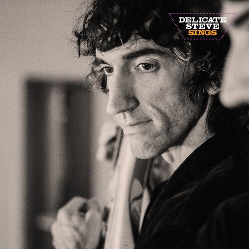 DELICATE STEVE - DELICATE STEVE SINGS - RECORD