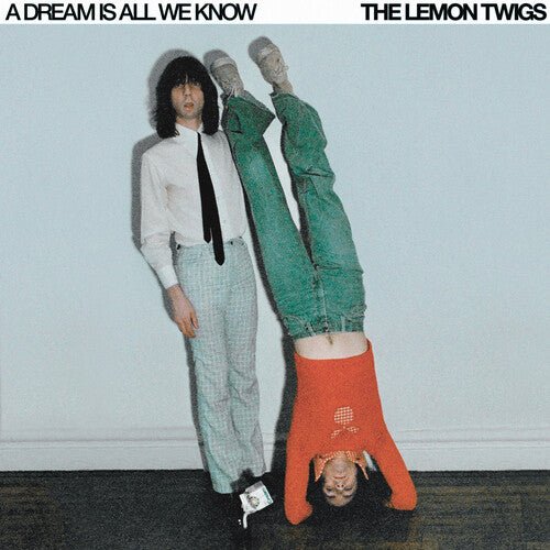 LEMON TWIGS - DREAM IS ALL WE KNOW - RECORD