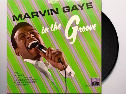 GAYE,MARVIN - IN THE GROOVE - RECORD