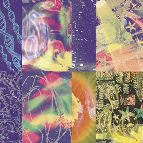 NAP EYES - NEON GATE - RECORD