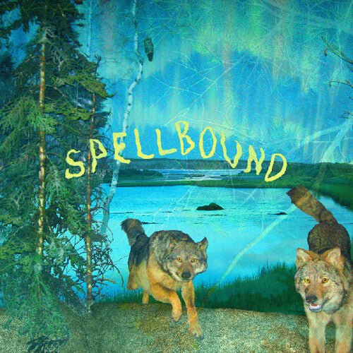BOYSCOTT - SPELLBOUND - RECORD