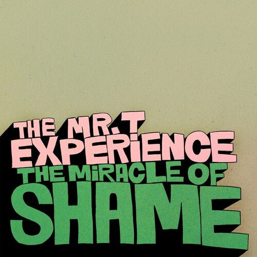 MR T EXPERIENCE - MIRACLE OF SHAME - RECORD