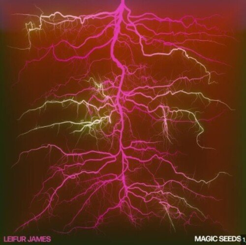 JAMES,LEIFUR - MAGIC SEEDS - RECORD