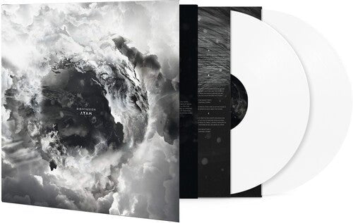 DISILLUSION - AYAM - RECORD