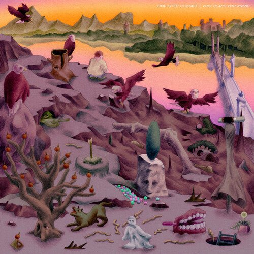 ONE STEP CLOSER - THIS PLACE YOU KNOW - PINK - RECORD