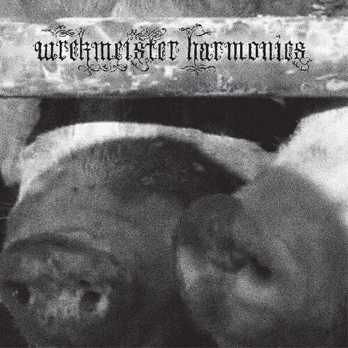 WREKMEISTER HARMONIES - FLOWERS IN THE SPRING - RECORD