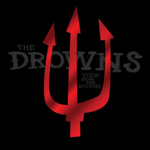 DROWNS - VIEW FROM THE BOTTOM - RECORD