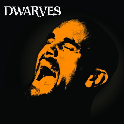 DWARVES - REX EVERYTHING - RECORD